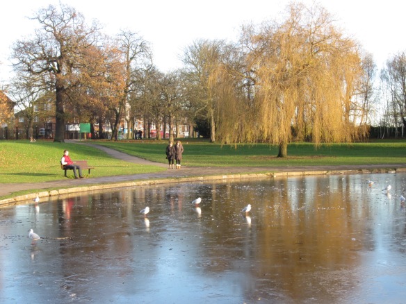 Our local park in North London. The birds don't seem too perturbed by the frozen lake. Well adjusted? or just stupid?